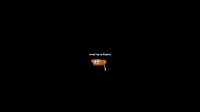 Snapshot of pecsblack888 chatting on September 29, 6:46 pm pecsblack888 online show from September 29, 6:46 pm