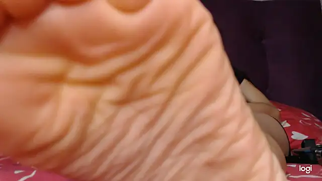 ash feet online show from November 17, 2:59 am