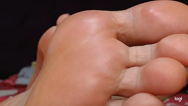 ash feet online show from November 13, 2:37 am