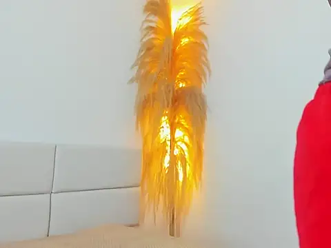 Kieran kian online show from February 14, 12:33 am