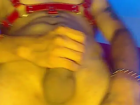 Npga96 online show from March 22, 9:44 am