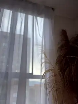 Sofi Leal online show from January 8, 12:11 pm