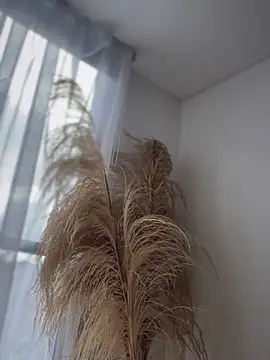 Sofi Leal online show from November 26, 1:00 pm