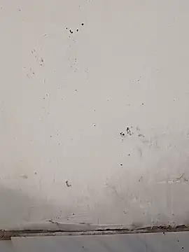 monubigcoock online show from November 17, 9:57 am