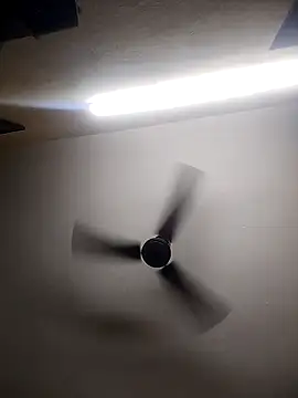 Devi-with-Ram online show from October 13, 4:36 am