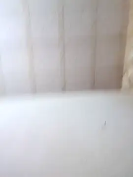 bon bonsex online show from October 24, 5:06 am