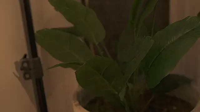 Ariaa Isabell online show from September 12, 6:29 pm