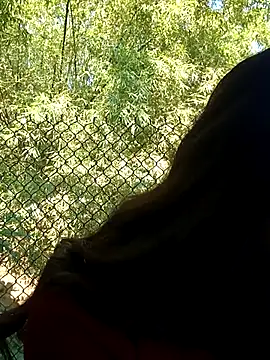 dimny sex online show from November 28, 3:17 am