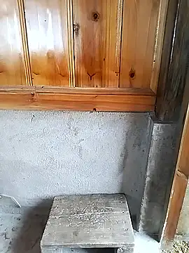 Tiyir597 online show from November 10, 4:06 am