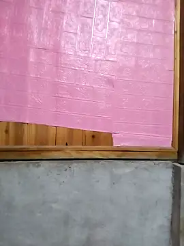 Tiyir597 online show from November 14, 4:27 am