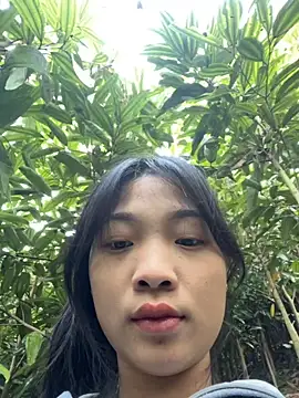 Phayphay77 online show from November 25, 1:06 am