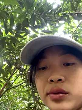 Phayphay77 online show from November 17, 2:48 am