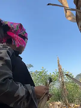 Phayphay77 online show from November 15, 8:18 am