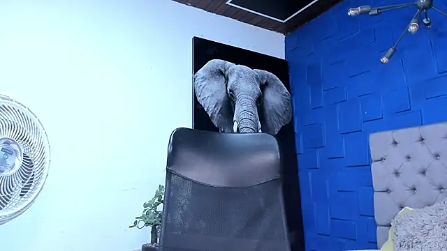 andres-clark92 online show from November 2, 5:29 pm