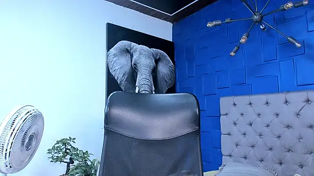 andres-clark92 online show from October 26, 6:19 pm