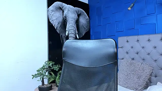 andres-clark92 online show from October 27, 6:31 pm