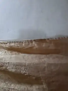 darryl hugecok online show from March 15, 7:15 am