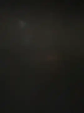 ALANNFERRER online show from December 3, 9:53 am