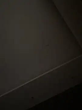 ALANNFERRER online show from November 1, 10:42 am