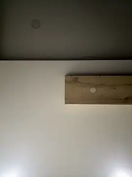 ALANNFERRER online show from September 10, 9:30 am