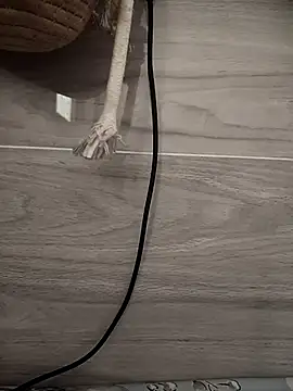 Tan32 11 online show from January 14, 5:22 am