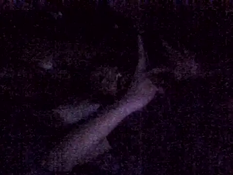 harish x online show from March 4, 6:59 pm