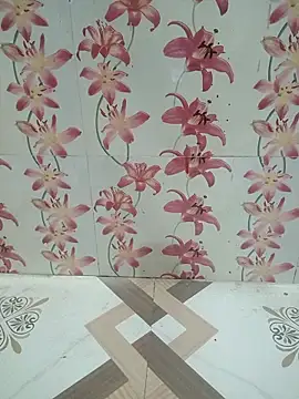 Snapshot of Meenaksi-singh chatting on October 4, 5:20 am Meenaksi-singh online show from October 4, 5:20 am