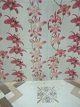 Snapshot of Meenaksi-singh chatting on October 12, 3:02 pm Meenaksi-singh online show from October 12, 3:02 pm