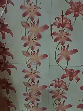 Snapshot of Meenaksi-singh chatting on September 13, 7:03 pm Meenaksi-singh online show from September 13, 7:03 pm