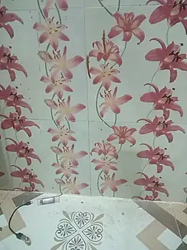 Snapshot of Meenaksi-singh chatting on October 1, 7:40 pm Meenaksi-singh online show from October 1, 7:40 pm