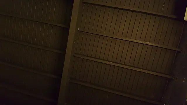 Snapshot of lilyth_bloom chatting on December 15, 12:44 pm lilyth bloom online show from December 15, 12:44 pm