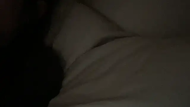 dddasani online show from January 17, 4:32 pm