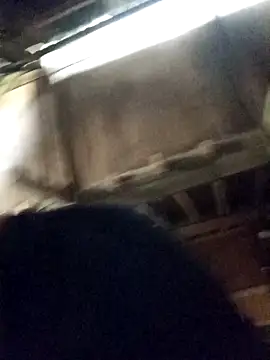 Bianly online show from April 16, 9:32 am