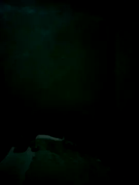 CrepedTrek online show from November 26, 6:19 pm