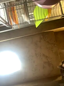 Snapshot of Anyssia chatting on December 1, 5:08 am Anyssia online show from December 1, 5:08 am