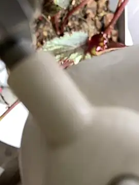 Snapshot of Jonny_Agatha chatting on March 3, 12:34 pm Jonny Agatha online show from March 3, 12:34 pm