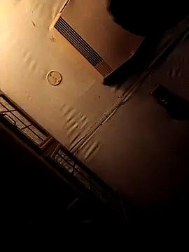 ShawnandDani7074 online show from February 4, 5:46 am