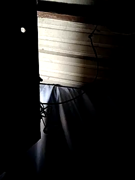 ShawnandDani7074 online show from April 14, 7:46 am