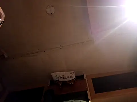 ShawnandDani7074 online show from March 28, 1:50 am