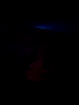 Ravi8879 online show from September 24, 7:04 am