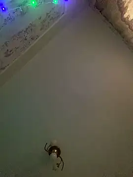 Snapshot of missevacrystal chatting on November 7, 11:48 am missevacrystal online show from November 7, 11:48 am