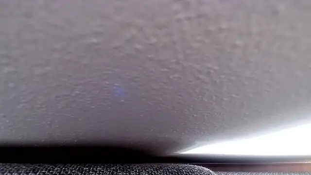 cucciolotto76 online show from November 26, 8:36 am