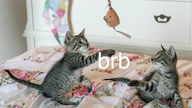 Pink girl0n online show from November 17, 7:07 pm