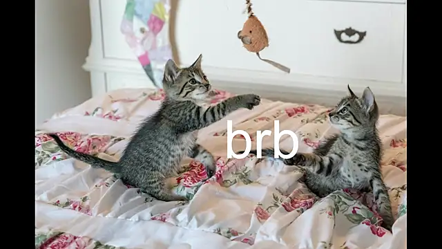 Pink girl0n online show from October 19, 8:44 pm