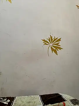 Snapshot of modelnishu chatting on October 17, 1:42 am modelnishu online show from October 17, 1:42 am