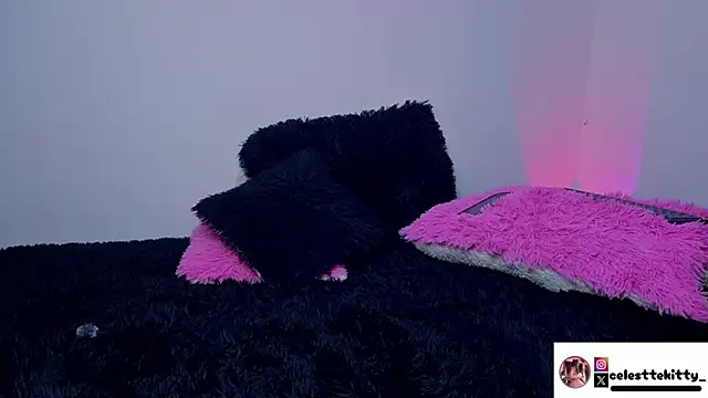 celestte evans 1 online show from March 16, 3:47 am