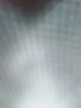 Reina Cummings online show from April 5, 5:14 am