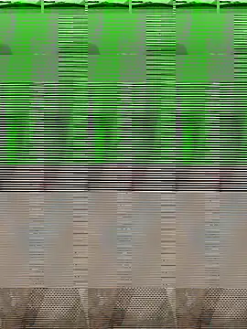 bigDick 000610 online show from October 31, 5:09 pm