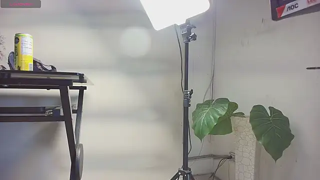 sakuramoss online show from October 24, 6:45 am