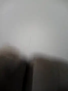 raposinharosada online show from January 8, 3:45 am